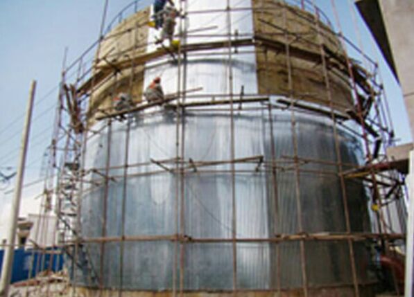 �����͹������ރ�(n��i)������